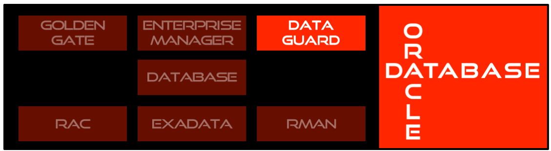 Résultat de recherche d'images pour "oracle database dataguard"